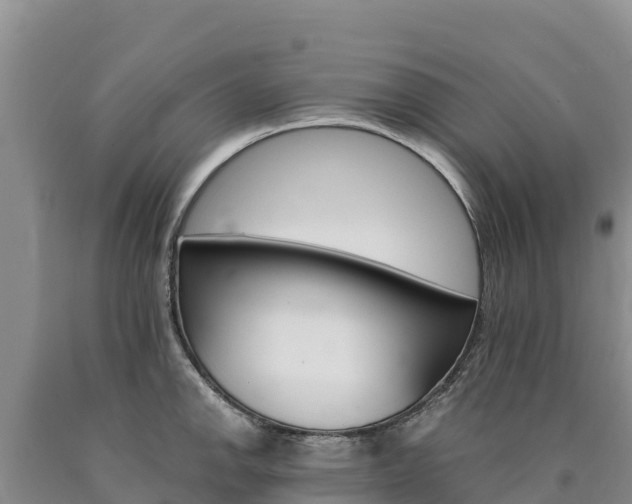 X0000090881142200707271010