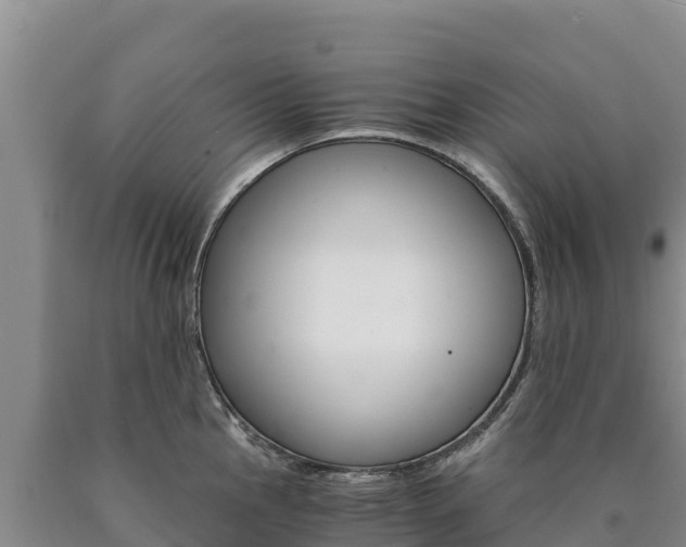 X0000090881145200707271011