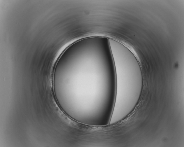 X0000090881148200707271011