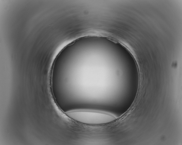 X0000090881152200707271011