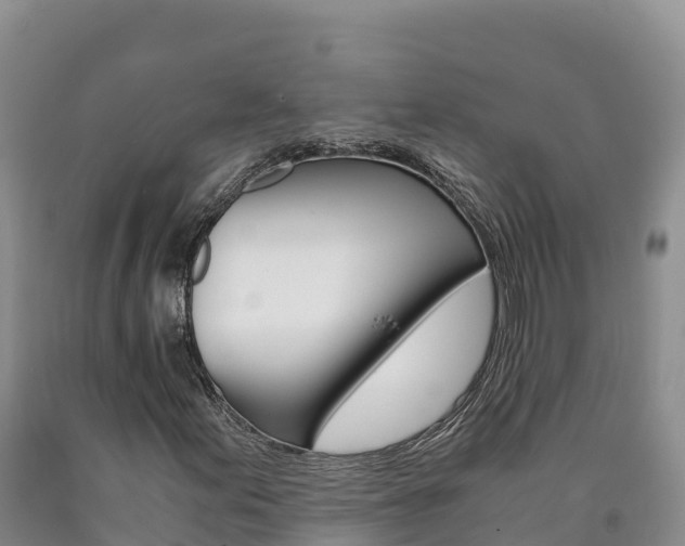 X0000090881155200707271010