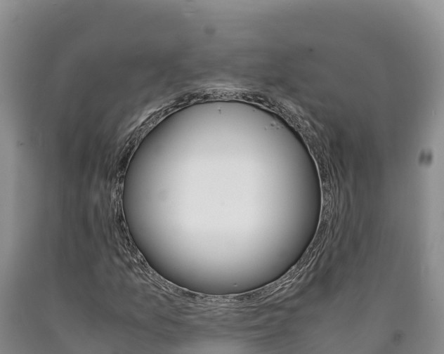X0000090881157200707271010