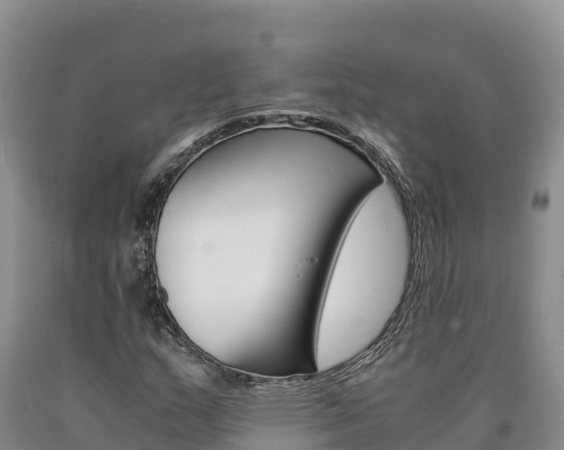 X0000090881159200707271010