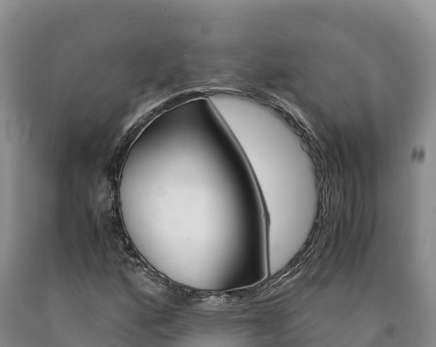 X0000090881160200707271010