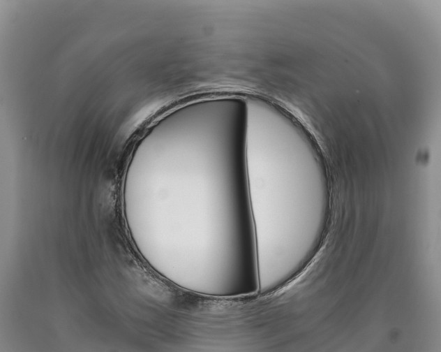 X0000090881163200707271010