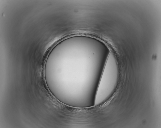 X0000090881165200707271010
