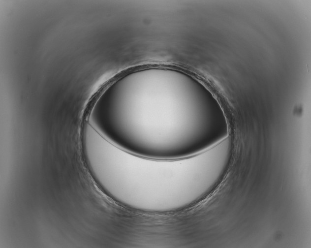 X0000090881168200707271010