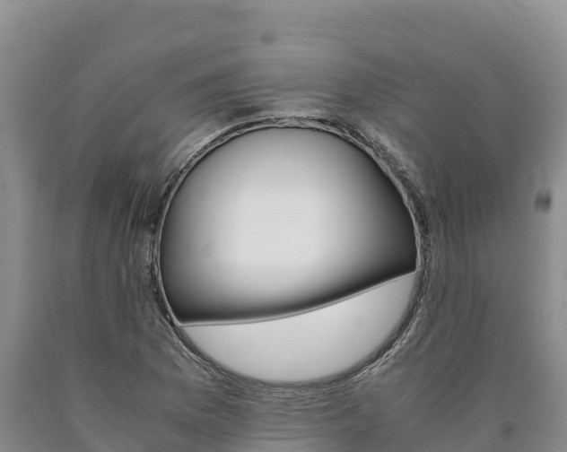 X0000090881169200707271010