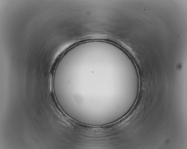X0000090881171200707271010
