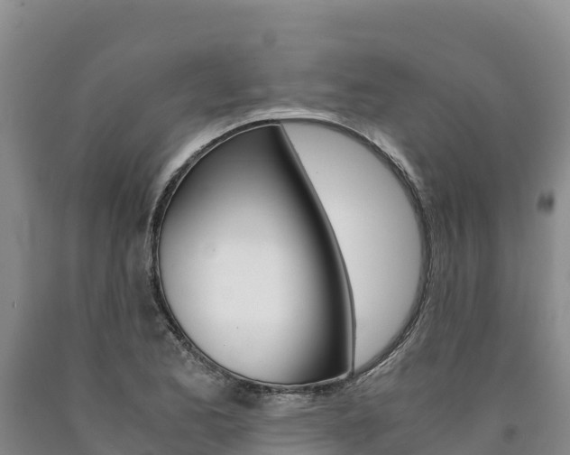 X0000090881173200707271010