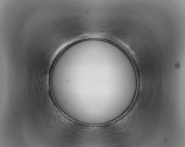 X0000090881174200707271010