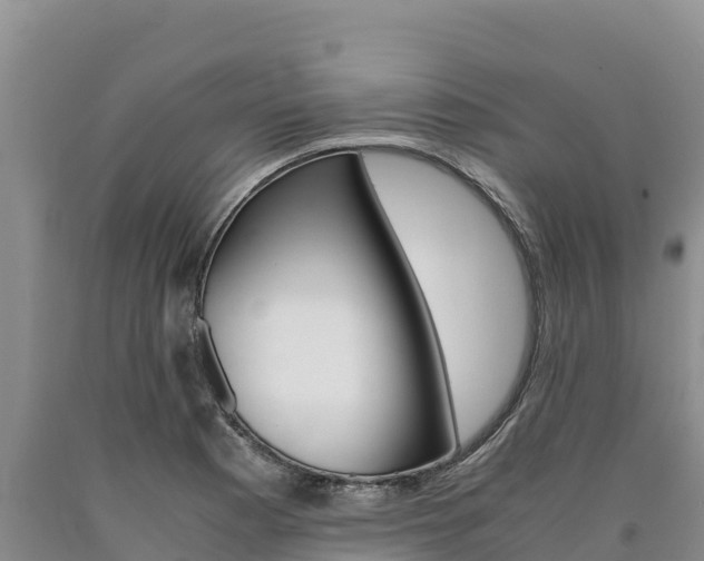 X0000090881177200707271010
