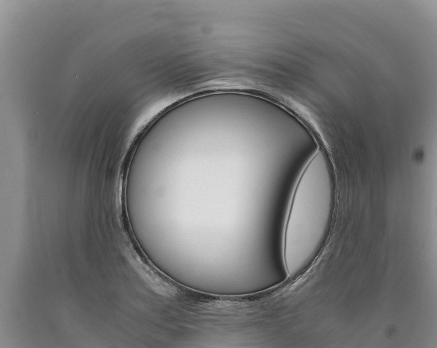 X0000090881179200707271010