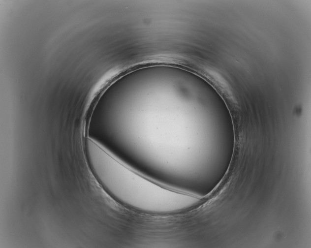 X0000090881180200707271009