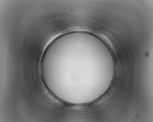 X0000090881182200707271009