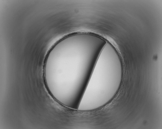 X0000090881183200707271009