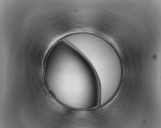 X0000090881184200707271009