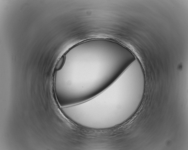 X0000090881187200707271009