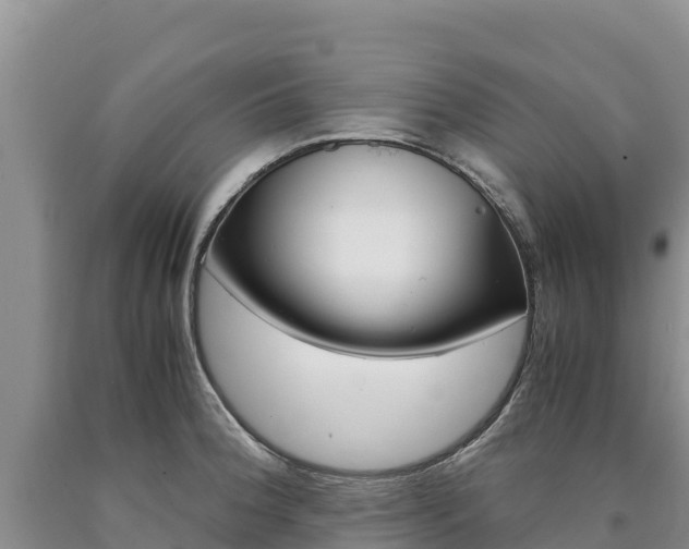 X0000090881188200707271009