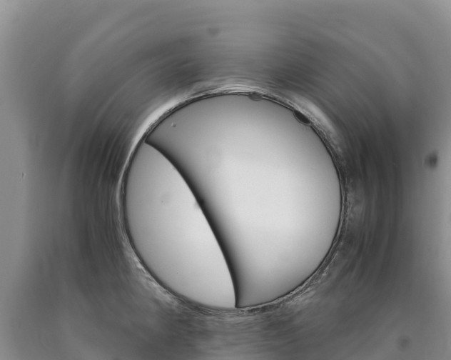 X0000090881190200707271009