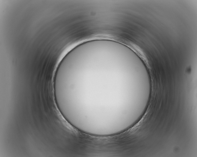X0000090881192200707271009