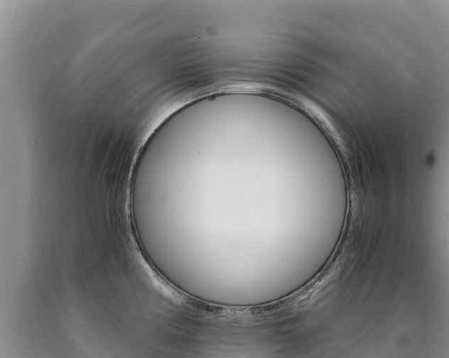 X0000090881194200707271009
