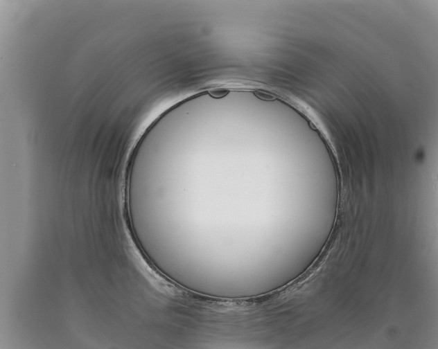 X0000090881195200707271009
