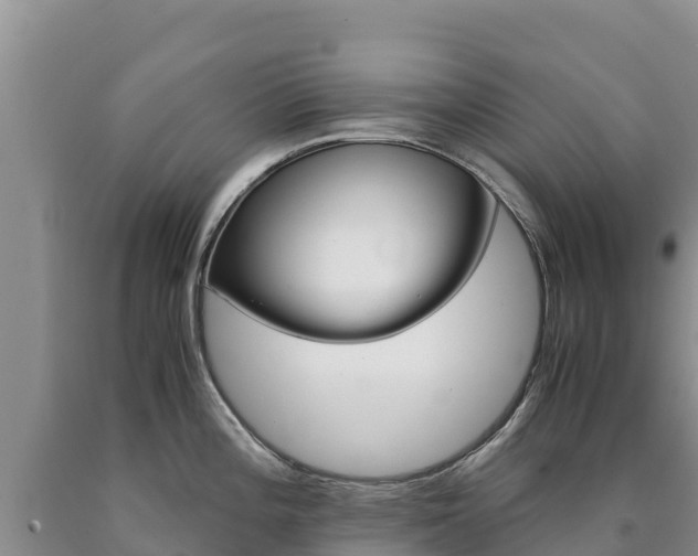 X0000090881196200707271009