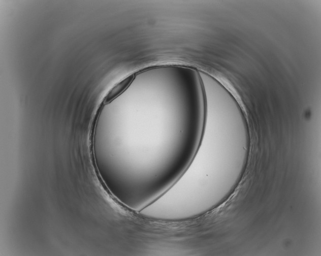 X0000090881197200707271009