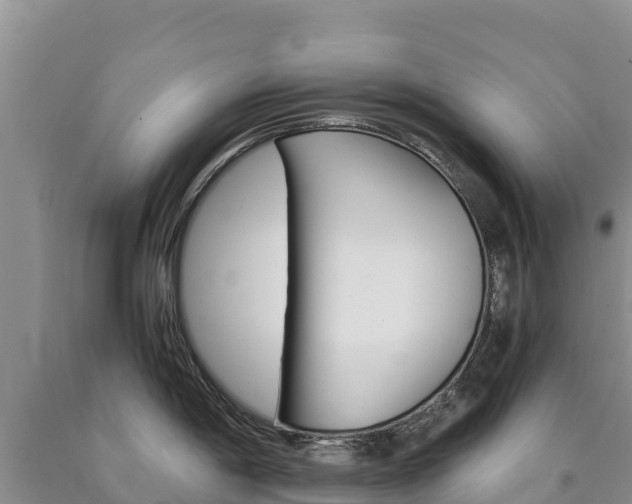 X0000090881198200707271009