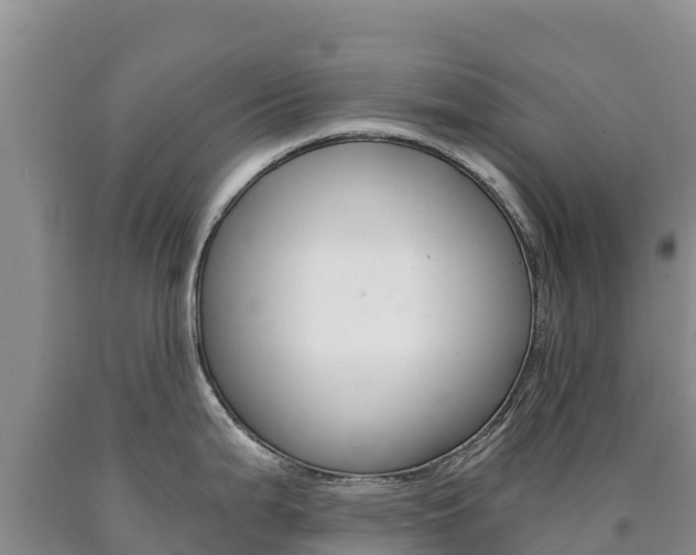 X0000090881199200707271009
