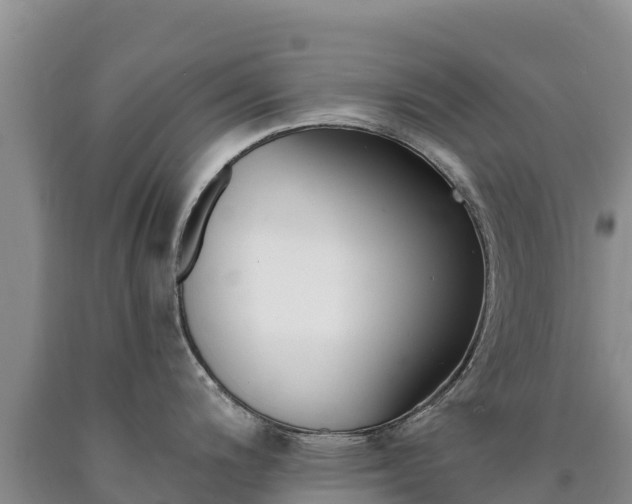 X0000090881200200707271009