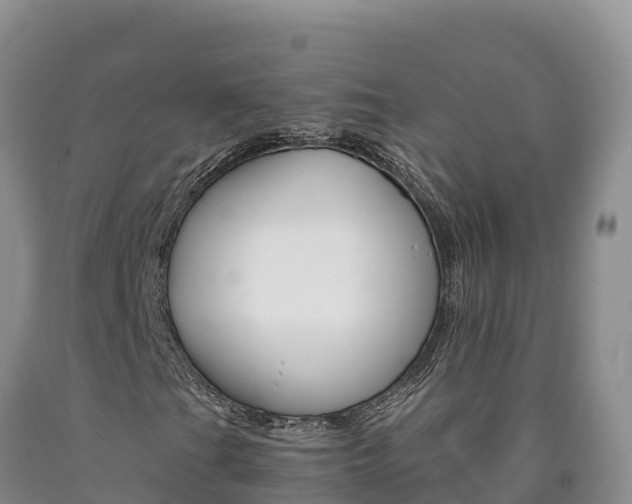 X0000090881201200707271008