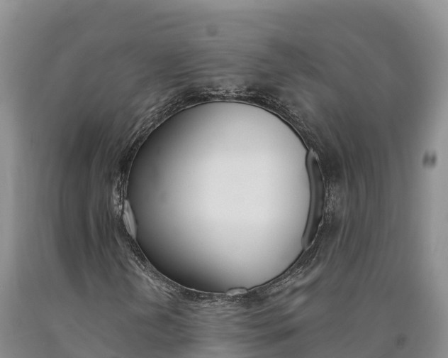 X0000090881202200707271008
