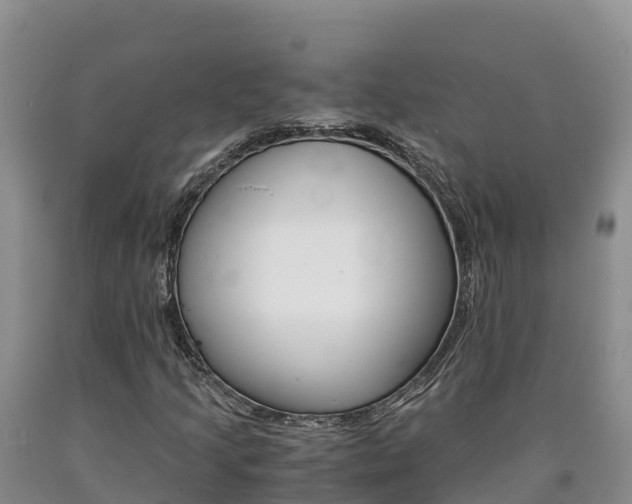 X0000090881205200707271008