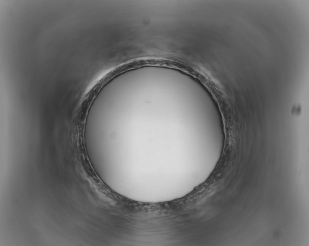 X0000090881208200707271009