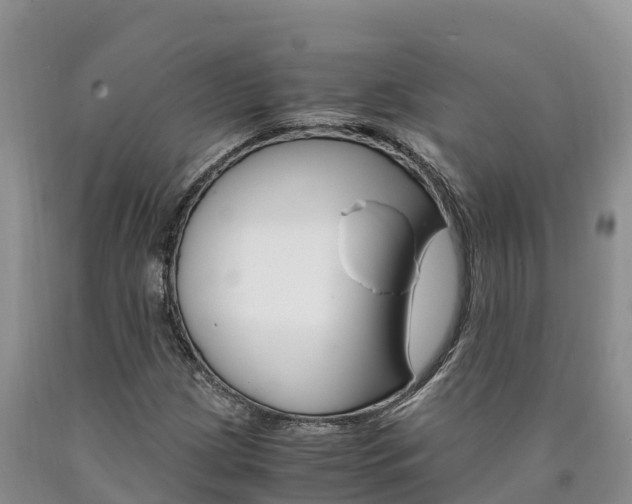 X0000090881209200707271009