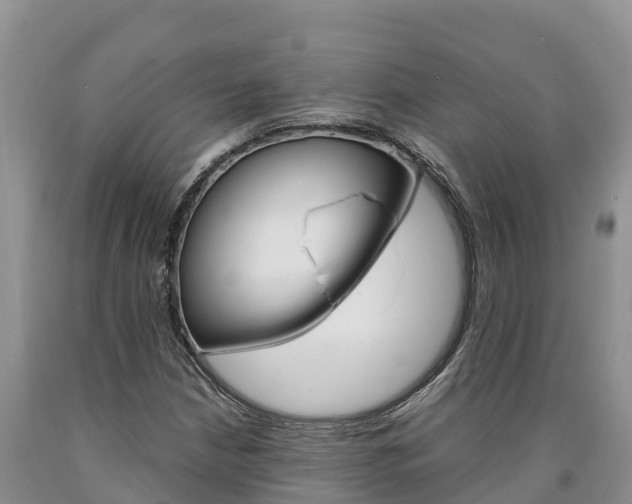 X0000090881210200707271009