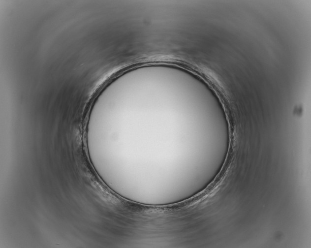 X0000090881212200707271009