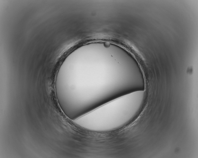 X0000090881213200707271009