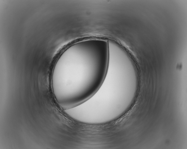 X0000090881214200707271009