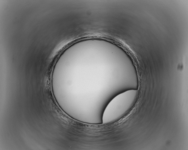 X0000090881215200707271009