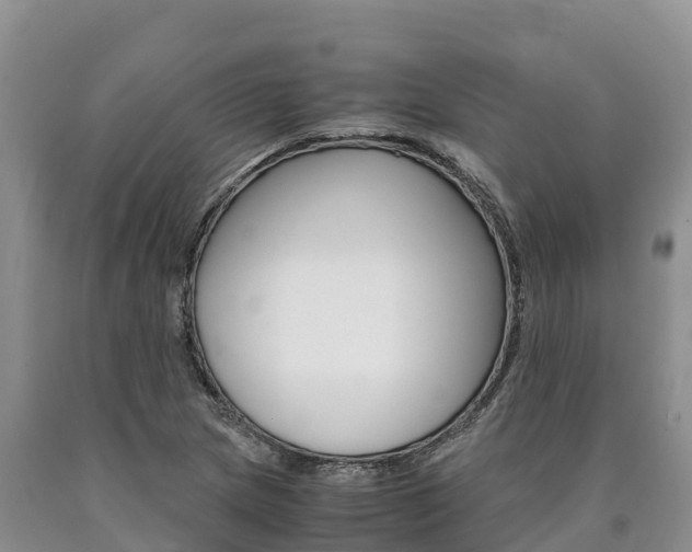 X0000090881217200707271009