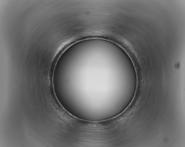 X0000090881218200707271009