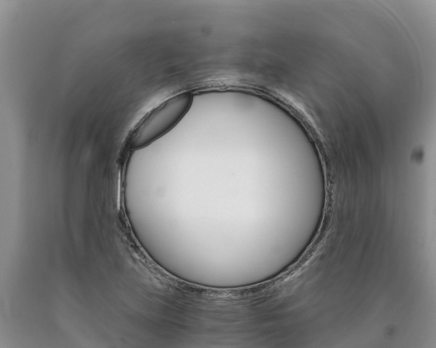 X0000090881219200707271009
