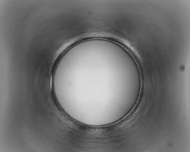 X0000090881221200707271009