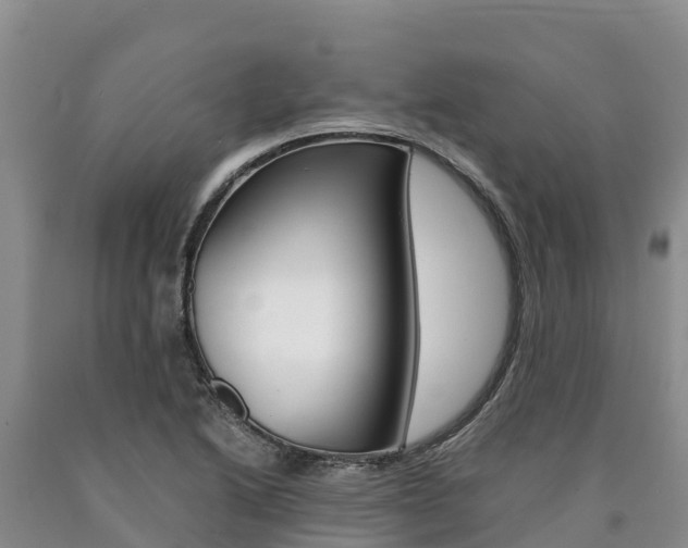 X0000090881222200707271009
