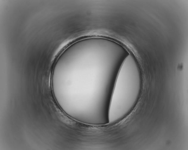 X0000090881224200707271009
