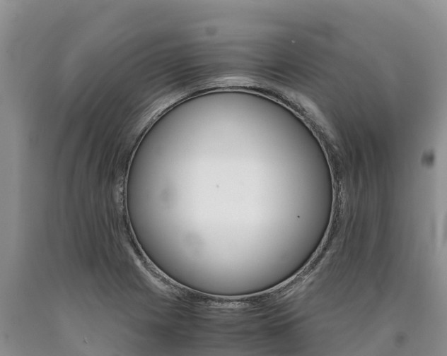 X0000090881225200707271009