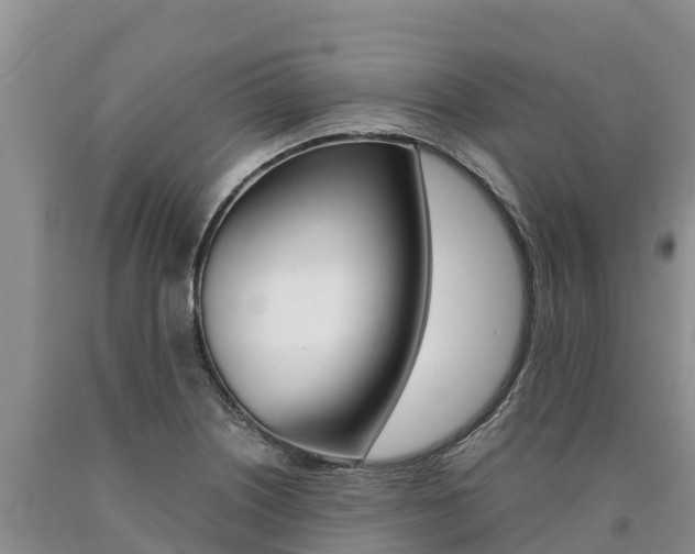 X0000090881226200707271009